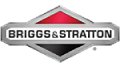 Briggs for sale in Canton, & Norfolk, NY